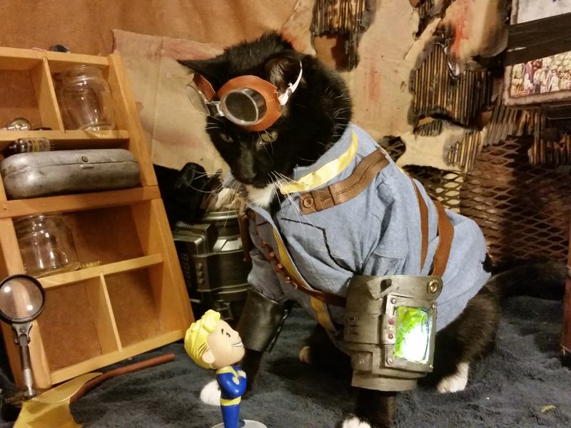 Illustration for article titled We've Had Enough Fallout Dogs. It's Vault Cat's Time.